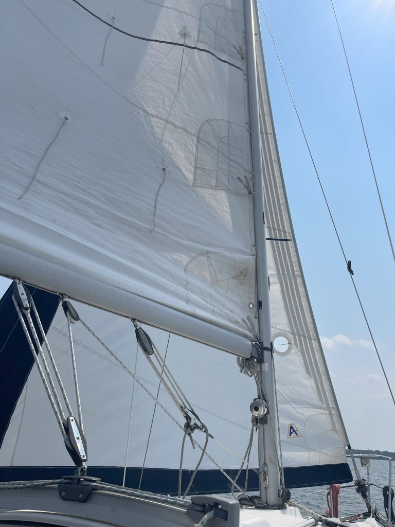 12- grand voile et génois.jpeg