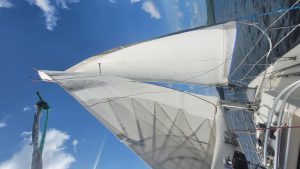 20230806_164305.jpg  