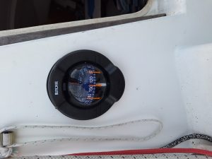 20241003_093416.jpg