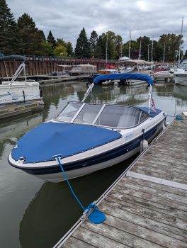 PXL_20240927_175723619.jpg