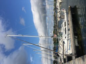 IMG_7949.jpeg