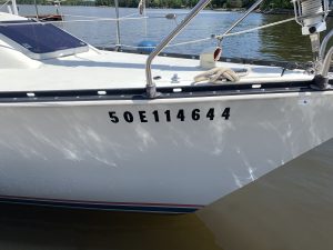 IMG_8604 2.JPG  