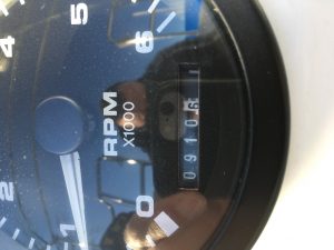 IMG_9664.jpeg