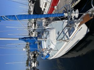IMG_2634[1].JPG  