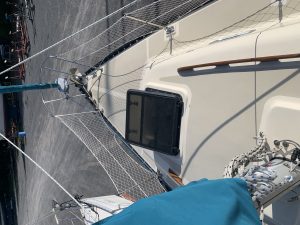 IMG_5175.JPG  