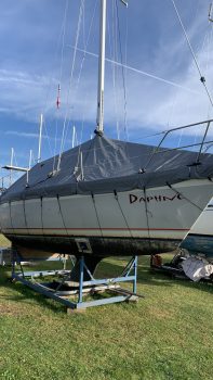 IMG_7359.jpeg  