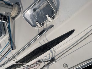 IMG_3921.jpeg  