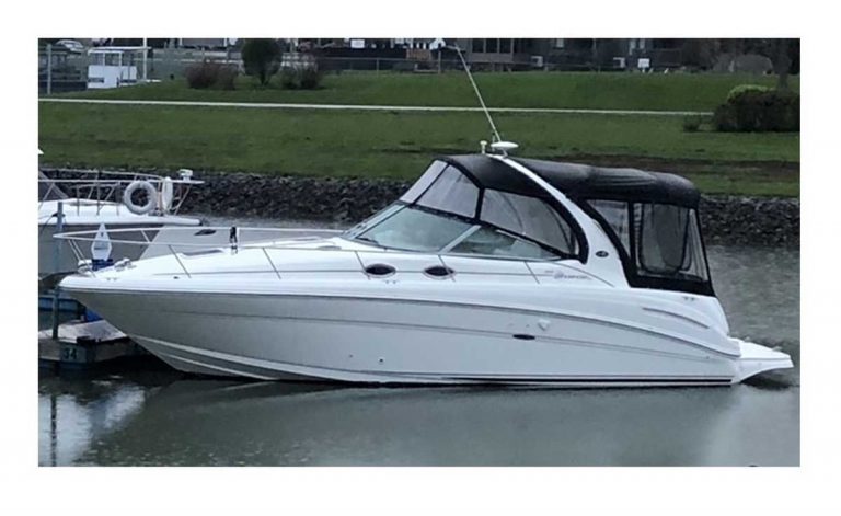 searay-sundancer300-0001.jpg