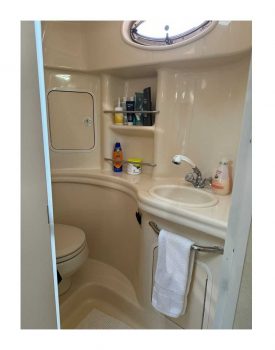 searay-sundancer300-00010.jpg  