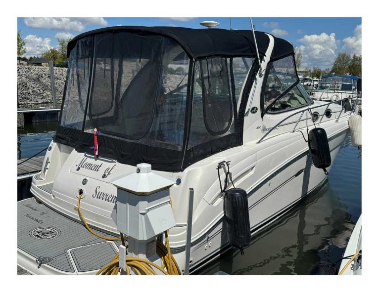 searay-sundancer300-0003.jpg