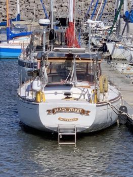 IMG_5559.jpeg  