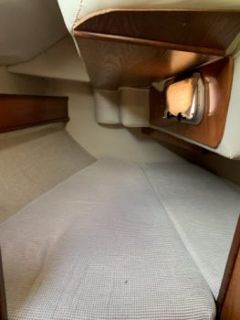 IMG_5773 – taille moyenne.jpeg &nbsp;