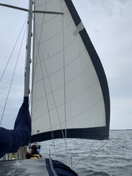 IMG_7587 – taille moyenne.jpeg &nbsp;