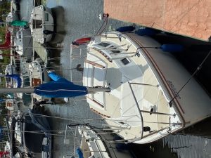 fallback-no-image-66316