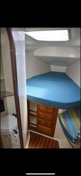 624334347_2103944163515803_6132540006863835670_n.jpg &nbsp;