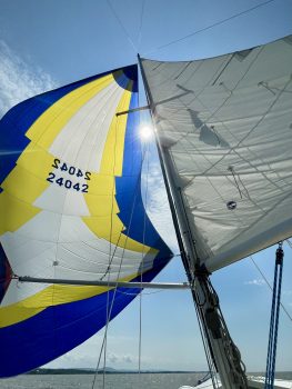 fallback-no-image-61306